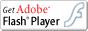 Adobe Flash
